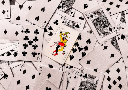 Joustoluotto Pankista: Lainan Hakeminen, Ehdot Ja Käyttömahdollisuudet