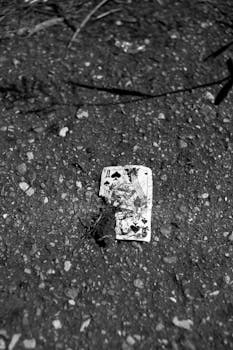 Paras Palautusprosentti Casino: Mistä Löytää Korkeimmat RTP-pelit